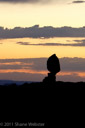 Balance Rock in Utah's Arches National Park at sunset