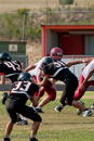 Roughriders v. Porcupines              				