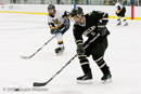 DSSE v. Lions