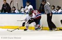 Blackhawks v. Hounds