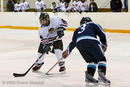 Blackhawks v. Aeros